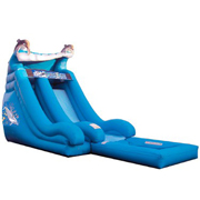 giant inflatable water slide for adult